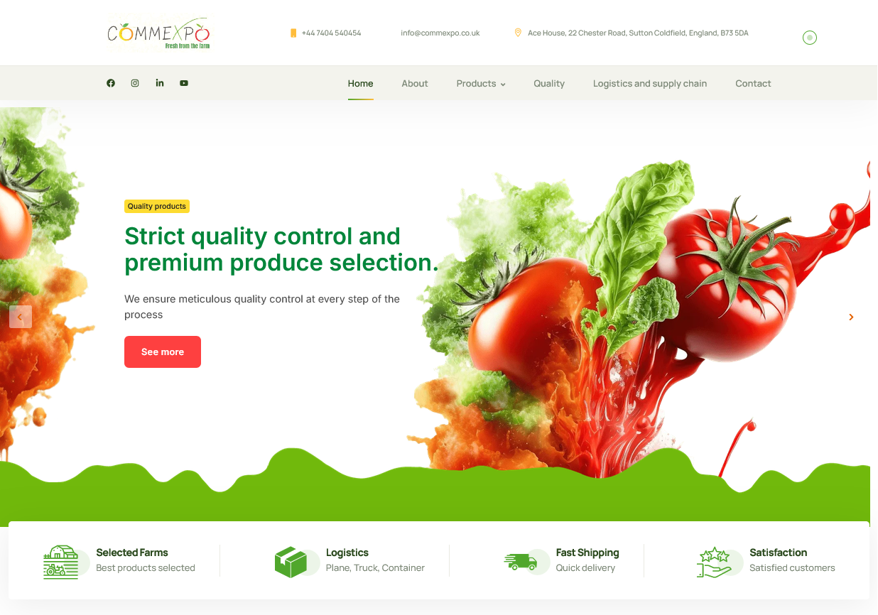 Capture du site Commexpo LTD réalisé par Agadir Concept